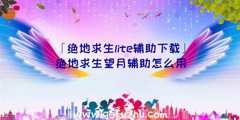 「绝地求生lite辅助下载」|绝地求生望月辅助怎么用